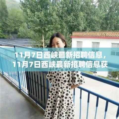 11月7日西峡最新招聘信息大全，获取攻略与求职要领