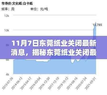 揭秘东莞纸业关闭最新消息,行业震荡与未来展望(11月7日)