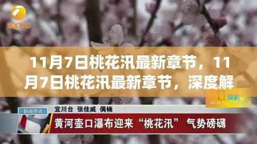 深度解读与观点阐述，最新章节桃花汛深度剖析