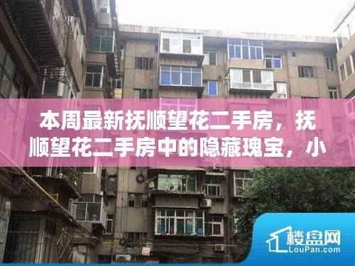 本周抚顺望花二手房探秘,隐藏瑰宝与小巷特色小店一览