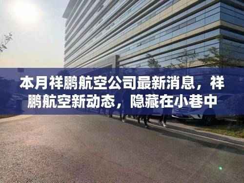 祥鹏航空新动态揭秘,小巷特色小店探秘之旅