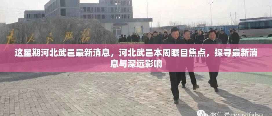 河北武邑本周焦点，最新消息及其深远影响探索