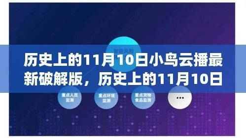 历史上的11月10日,小鸟云播最新破解版探秘及其违法犯罪问题解析