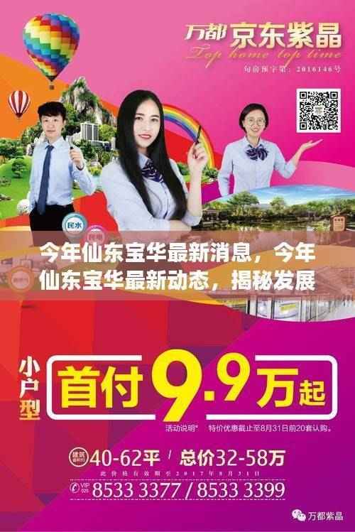 揭秘仙东宝华最新动态，发展蓝图曝光，美好未来展望启动