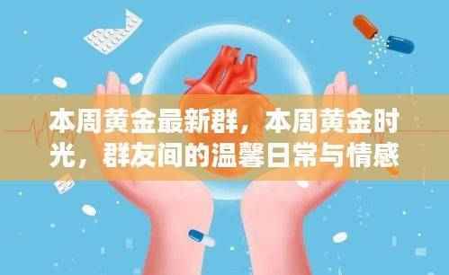 黄金时光群,本周温馨日常与情感纽带的黄金群友时光