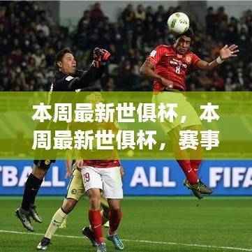 世俱杯赛事亮点与热门球队深度解析,本周赛事概览