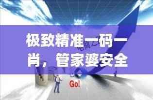 极致精准一码一肖,管家婆安全解读攻略_电商版ZYO537.36