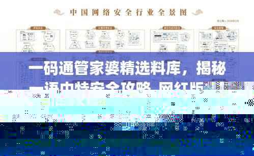 一码通管家婆精选料库，揭秘一语中特安全攻略_网红版XDT976.28