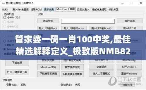 管家婆一码一肖100中奖,最佳精选解释定义_极致版NMB827.53