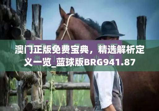 澳门正版免费宝典,精选解析定义一览_蓝球版BRG941.87