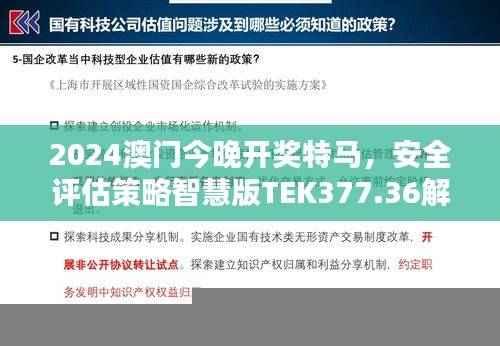 2024澳门今晚开奖特马,安全评估策略智慧版TEK377.36解析