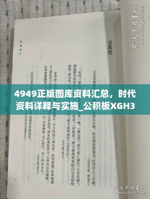 4949正版图库资料汇总,时代资料详释与实施_公积板XGH363.15