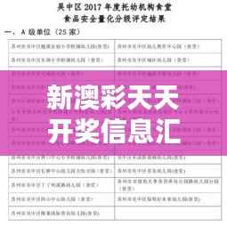 新澳彩天天开奖信息汇总,安全评估方案及竞技版EOR217.18解析