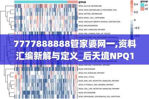 7777888888管家婆网一,资料汇编新解与定义_后天境NPQ146.06