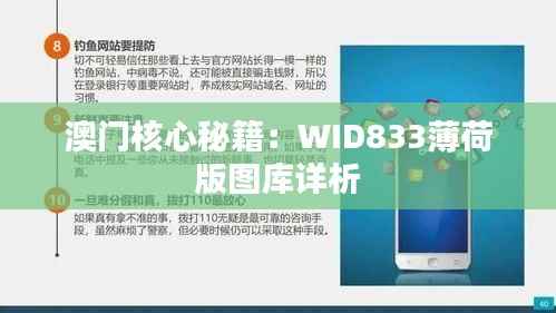 澳门核心秘籍:WID833薄荷版图库详析