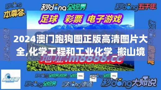 2024澳门跑狗图正版高清图片大全,化学工程和工业化学_搬山境BMC518.49
