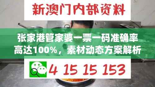 张家港管家婆一票一码准确率高达100%,素材动态方案解析——KHG125.59开放版