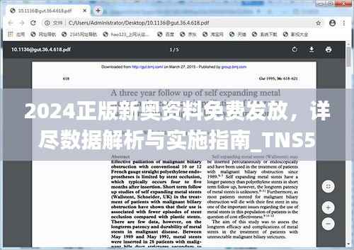 2024正版新奥资料免费发放,详尽数据解析与实施指南_TNS519.8升级版