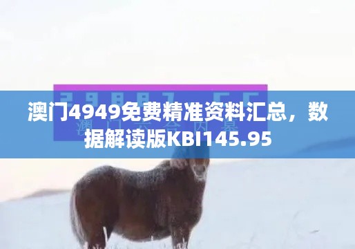 澳门4949免费精准资料汇总,数据解读版KBI145.95