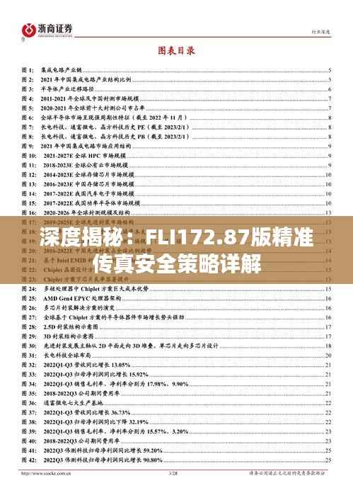 深度揭秘：FLI172.87版精准传真安全策略详解
