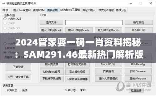 2024管家婆一码一肖资料揭秘:SAM291.46最新热门解析版