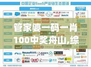 管家婆一码一肖100中奖舟山,综合评估分析_电商版ADU317.69