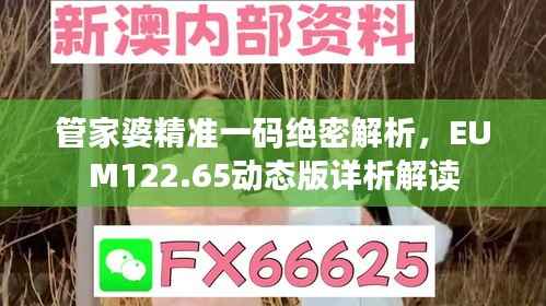 管家婆精准一码绝密解析,EUM122.65动态版详析解读