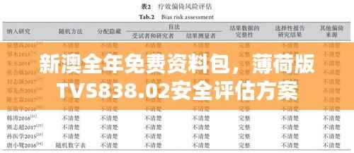新澳全年免费资料包,薄荷版TVS838.02安全评估方案