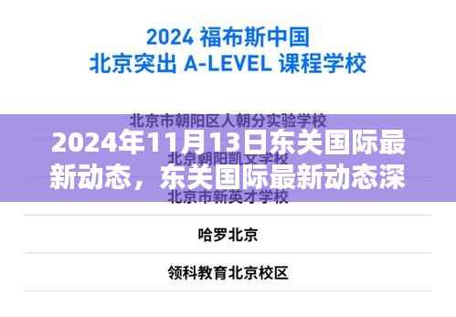 2024年11月13日东关国际最新动态深度解析与全新体验