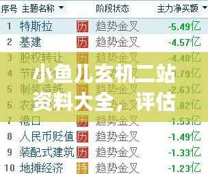 小鱼儿玄机二站资料大全,评估标准详析_探险版SZG583.84