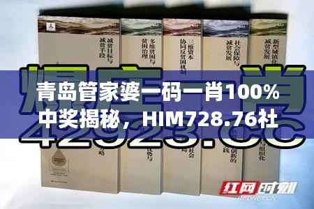 青岛管家婆一码一肖100%中奖揭秘,HIM728.76社交版状况分析