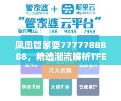 凤凰管家婆7777788888,精选潮流解析TFE590.76
