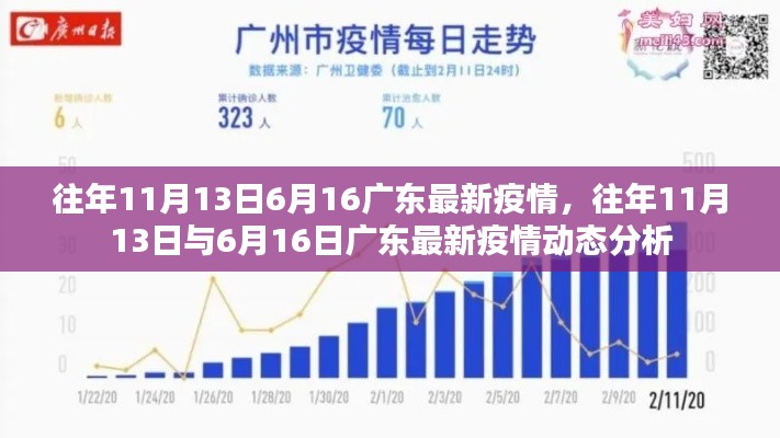 广东历年疫情动态分析,往年11月与6月疫情动态回顾与最新疫情分析报告。