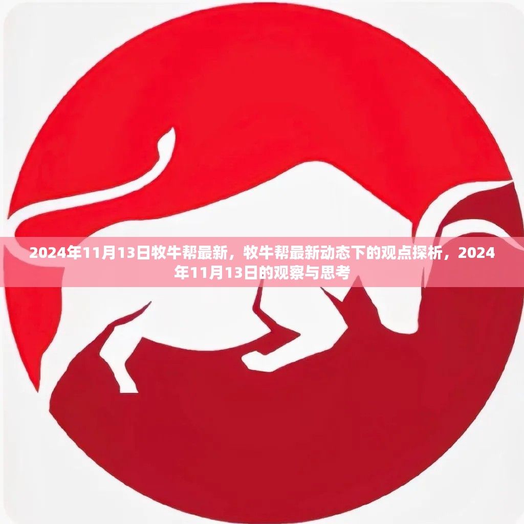 牧牛帮最新动态观点探析,2024年11月13日的观察与思考