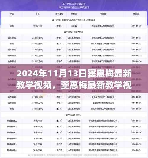 窦惠梅最新教学视频学习指南,掌握技能的每一步指南(2024年11月13日版)