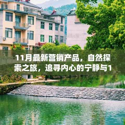 11月营销新品,自然探索之旅,追寻内心宁静与奇妙产品的缘分——幽默鼓舞的远离尘嚣之旅