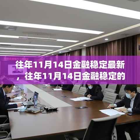 往年11月14日金融稳定观察,最新趋势、案例分析与研究综述