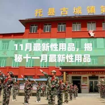 揭秘十一月最新科技性用品,健康与亲密生活的完美结合