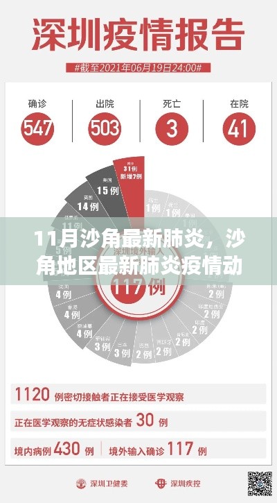 沙角地区最新肺炎疫情动态深度分析与应对建议(11月最新更新报告)