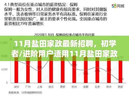 11月盐田家政最新招聘指南,初学者与进阶用户如何成功应聘家政职位