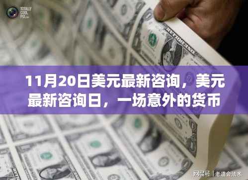 美元最新咨询日,意外货币之旅与友情深化纪事