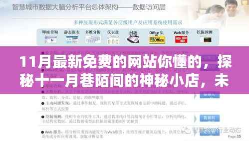 探秘十一月神秘网站与巷陌小店,免费宝藏大揭秘