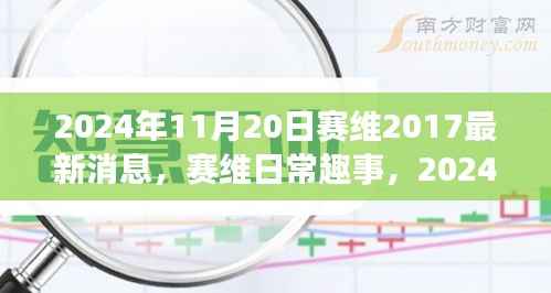 赛维趣事与温馨时光，最新消息与日常回忆（2024年11月20日）