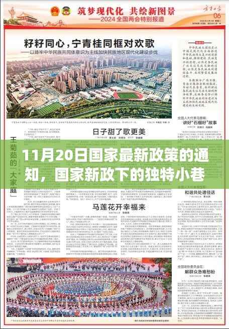 国家新政下的独特小巷风情,探索隐藏版特色小店之旅