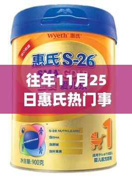 揭秘往年11月25日惠氏重大事件,历程、影响与启示回顾