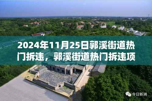 郭溪街道拆违项目深度解析,特性、体验、竞品对比与用户洞察