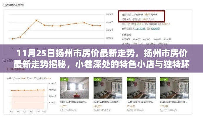 扬州市最新房价走势揭秘与小巷特色小店探索之旅