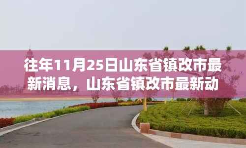 山东省镇改市最新动态解析,深入分析与个人观点分享
