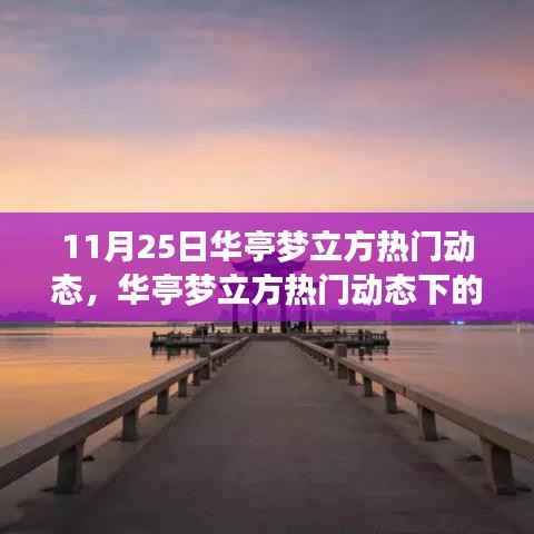 11月25日华亭梦立方热门动态深度解析,观点聚焦与思维碰撞
