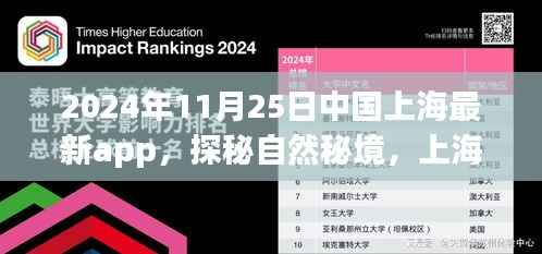 探秘自然秘境,上海最新App引领旅行新风尚,启程寻找心灵宁静之旅(2024年11月25日)